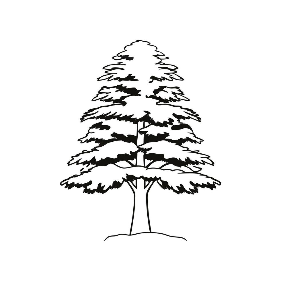 Creative Design of Himalayan Fir Tree vector