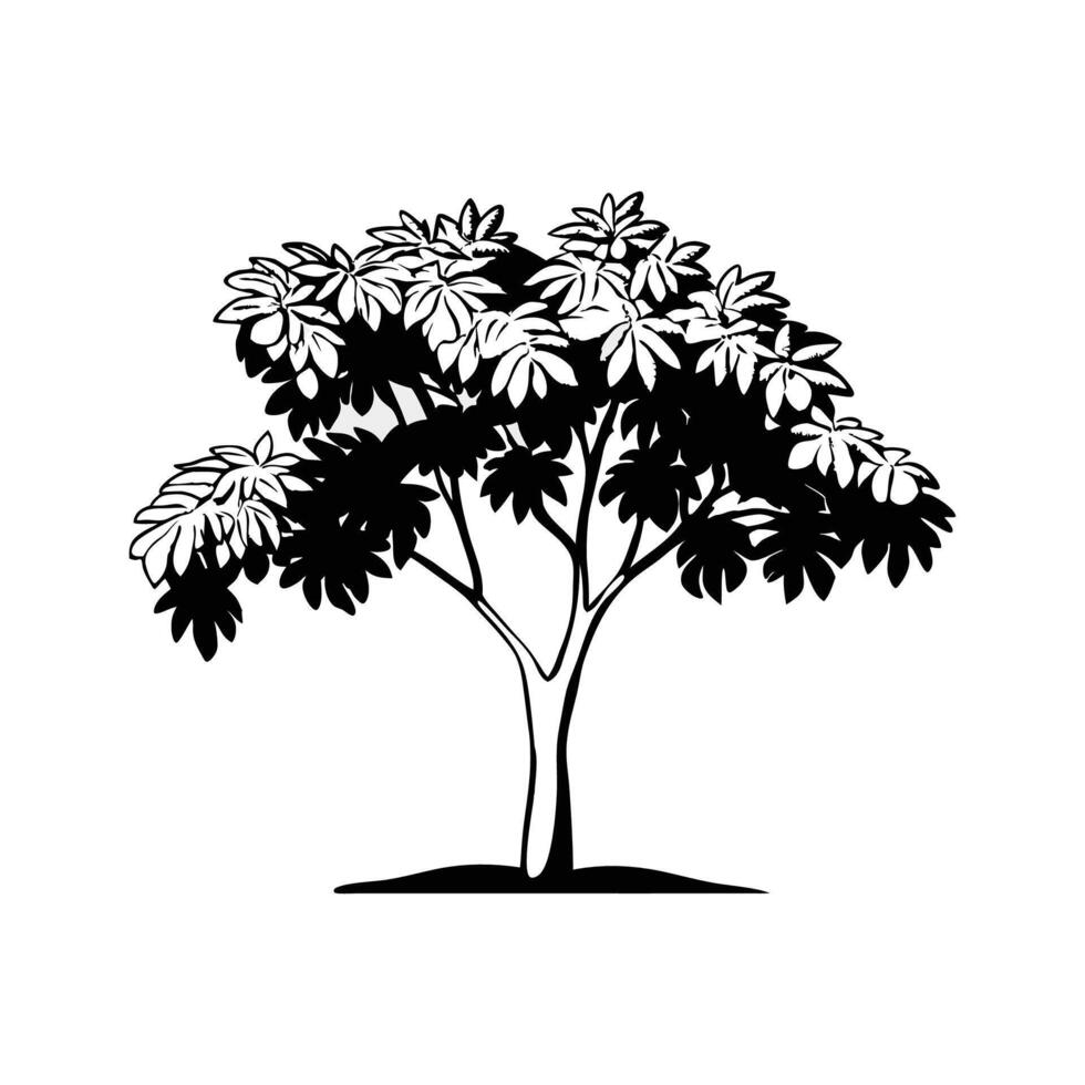 Unique Outline of Indian Breadfruit Tree. vector