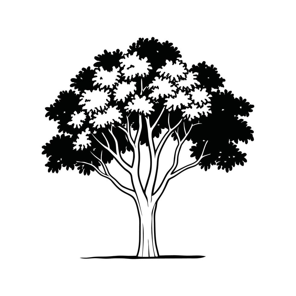 Stylized Outline of Indian Sissoo Tree vector