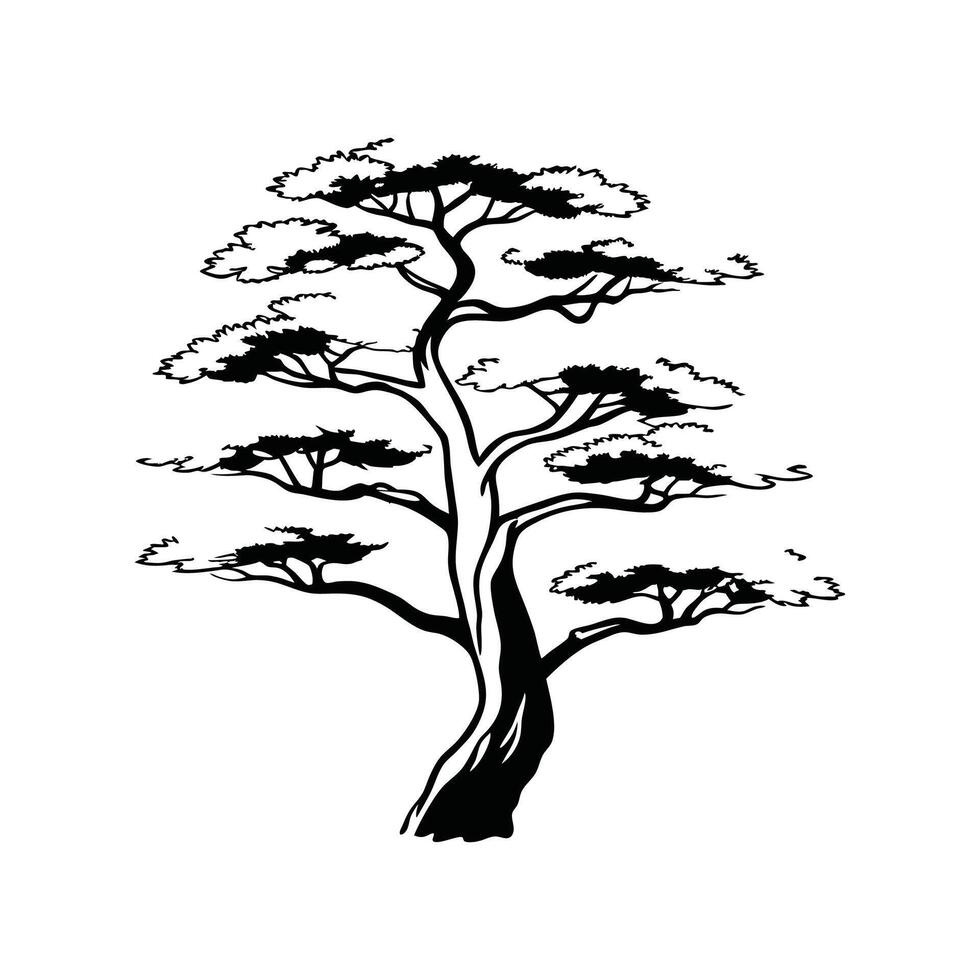 Unique Outline of Japanese White Pine Tree vector