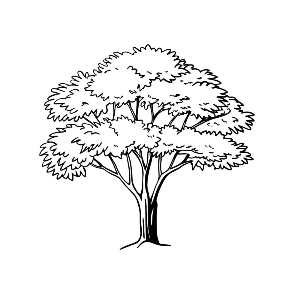 Unique Outline of Maple Tree vector
