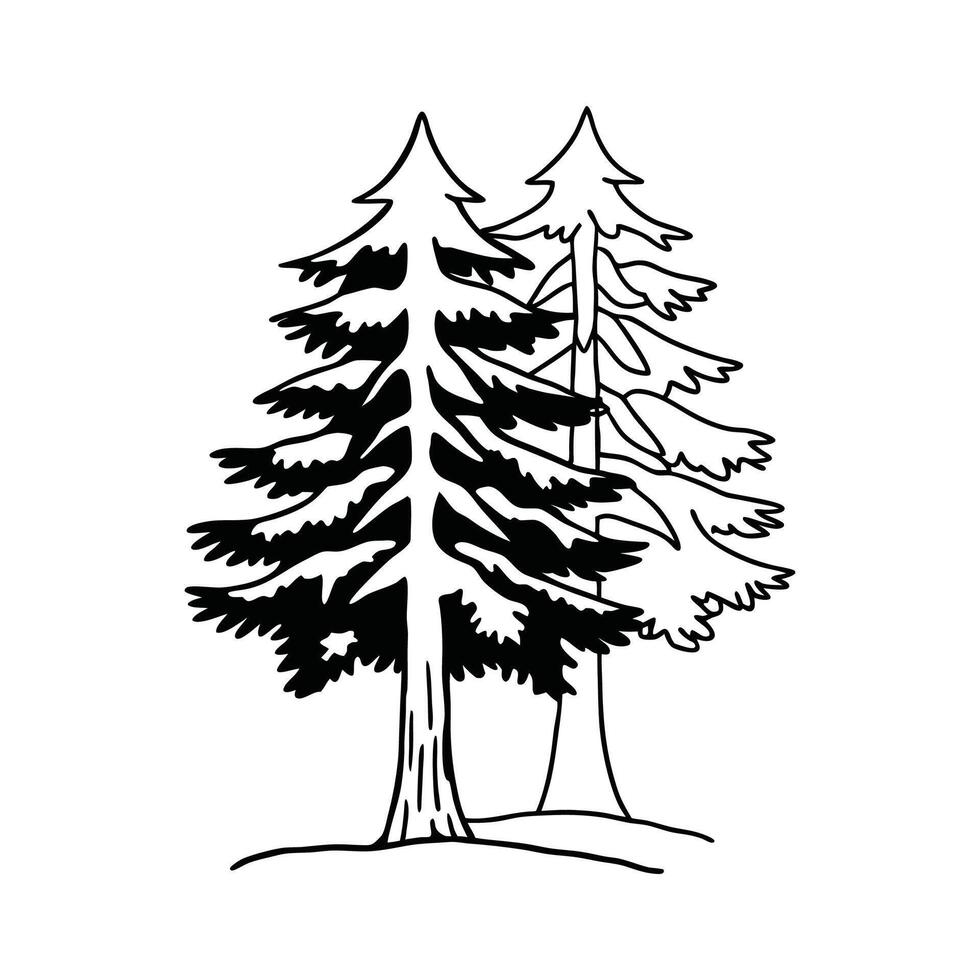 Stylized Outline of Pine Tree. vector