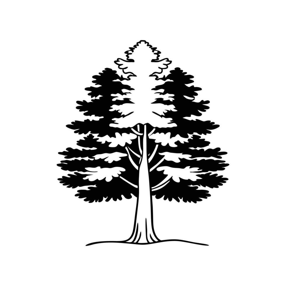 Unique Outline of Pine Tree vector