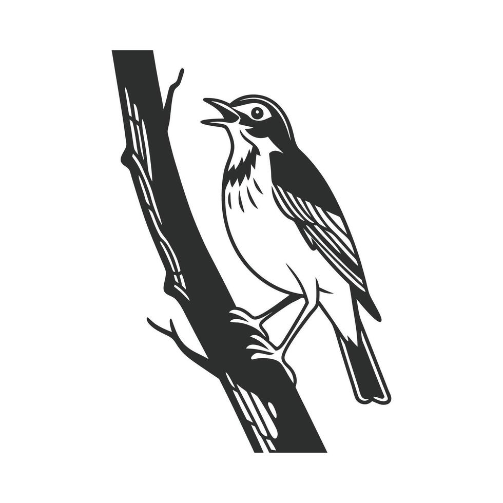Robin on Tree Branch Artwork vector