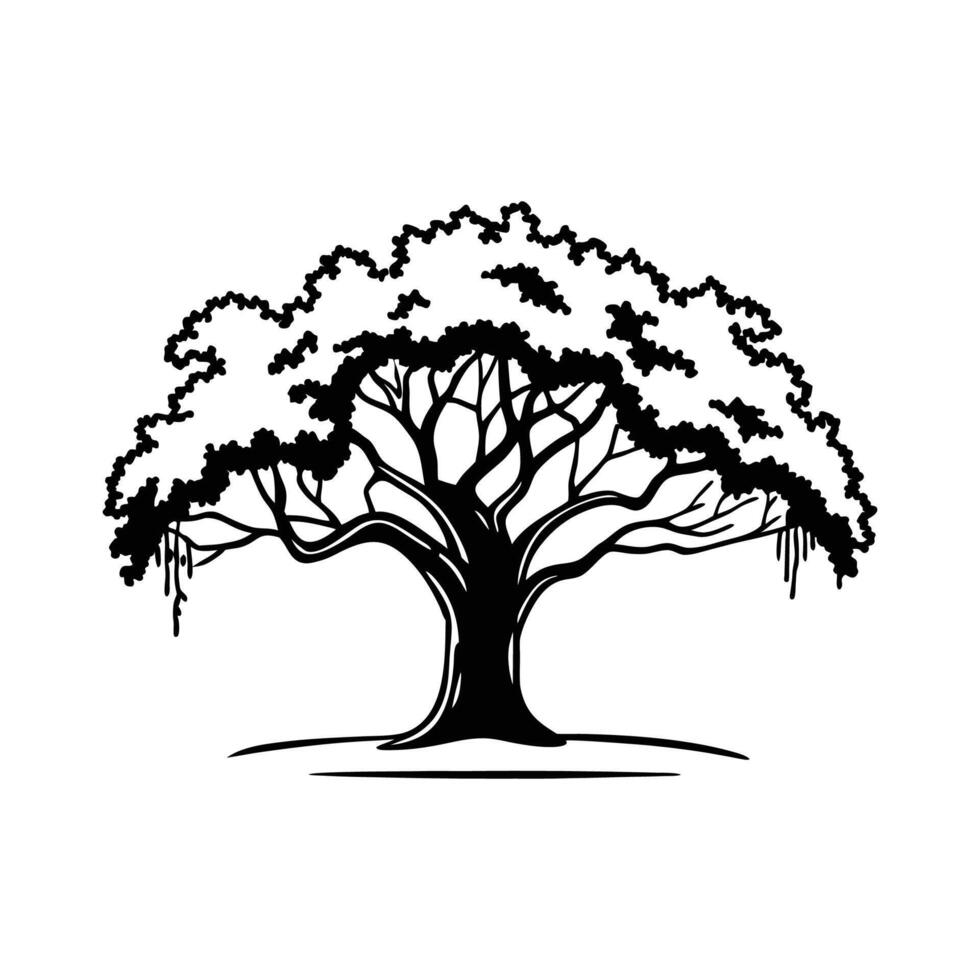 Artistic Southern Live Oak Tree Design vector
