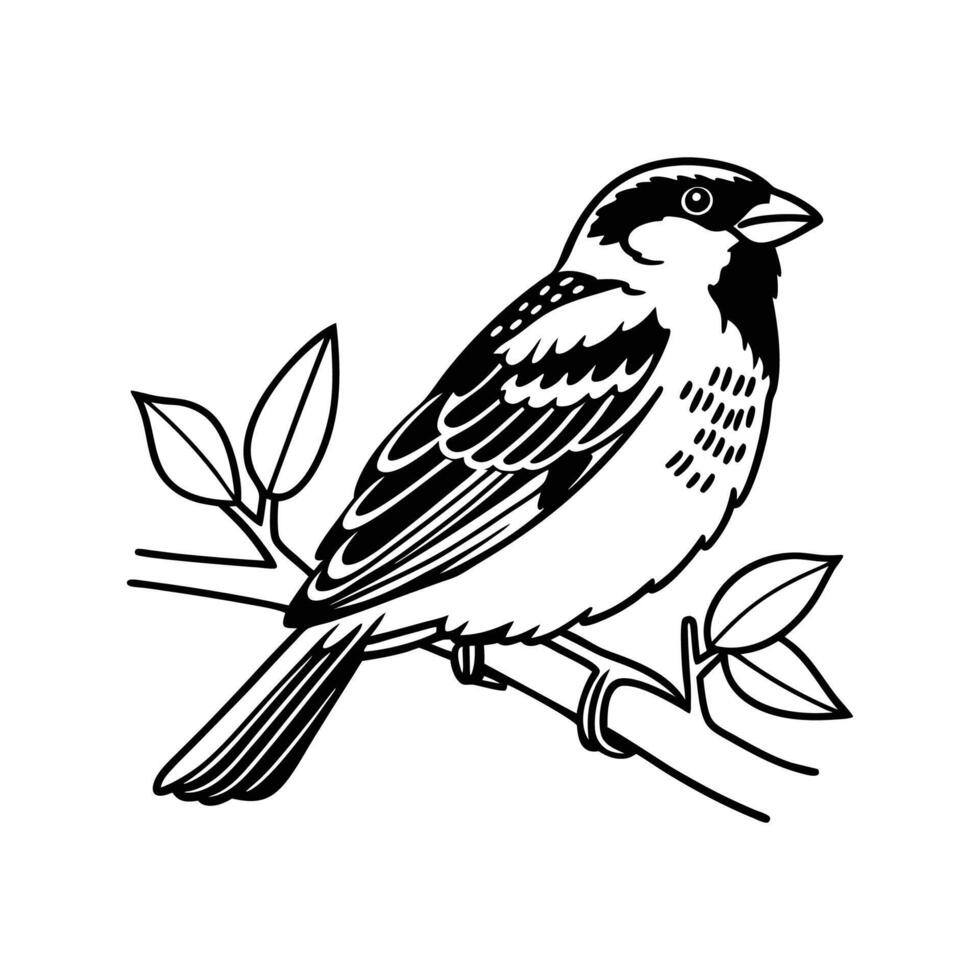 Charming Sparrow Sitting on Branch vector
