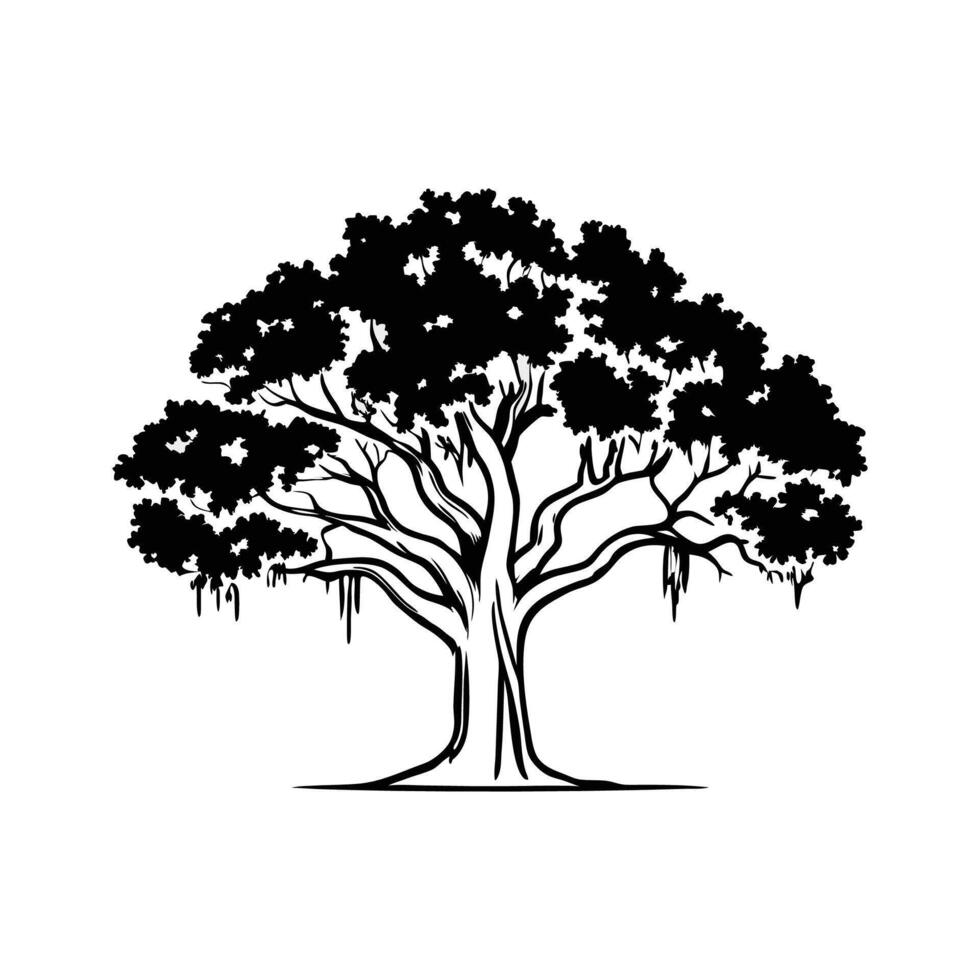 Exquisite Southern Live Oak Tree Art vector