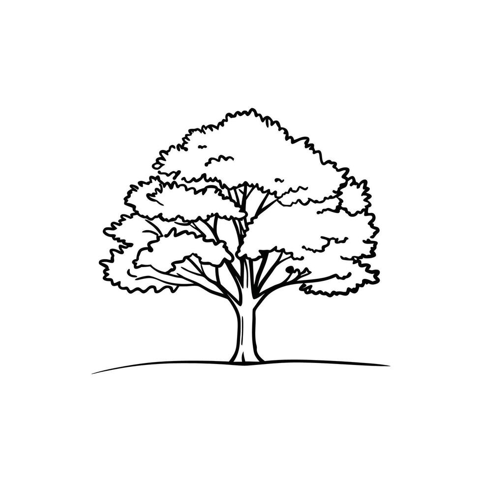 Elegant Swamp Chestnut Oak Tree Art vector