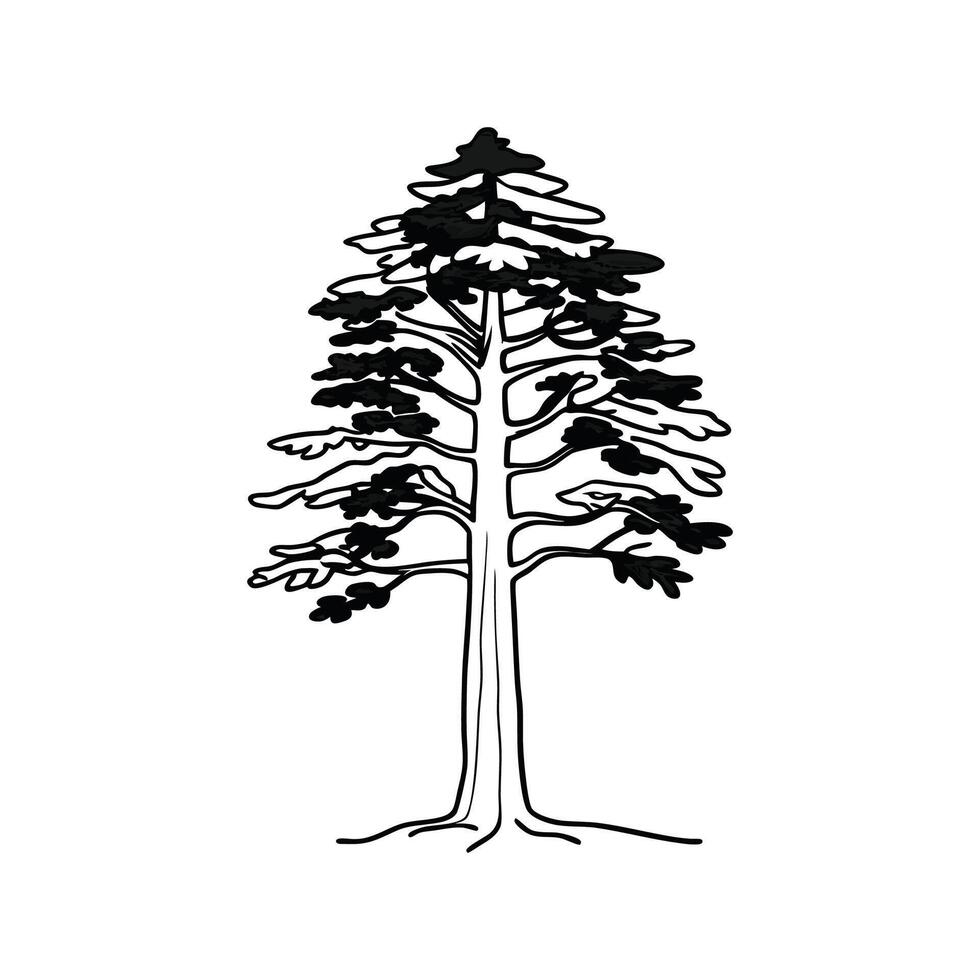 Artful Sugar Pine Tree Illustration vector