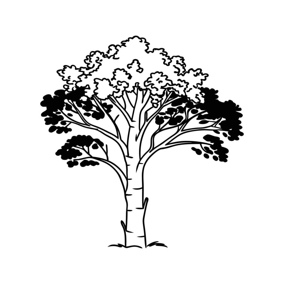 Stylized Sweet Birch Tree Artwork vector