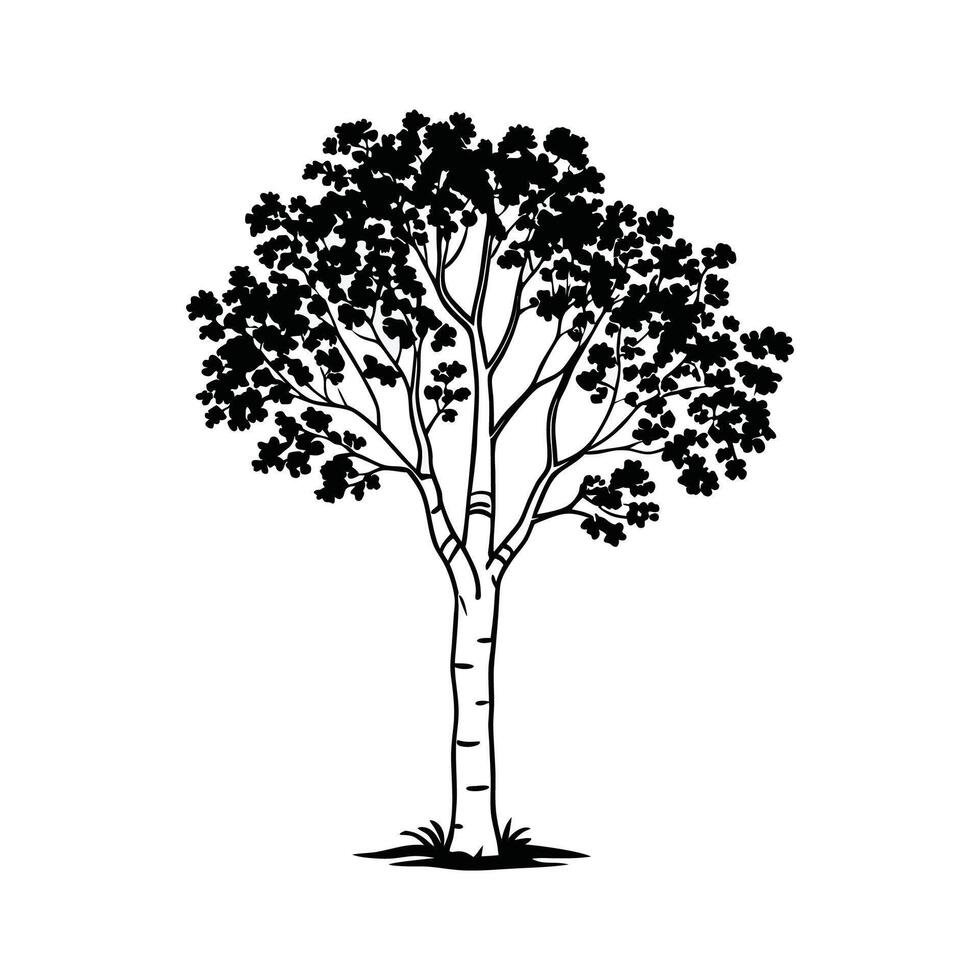 Vivid Sweet Birch Tree Design vector