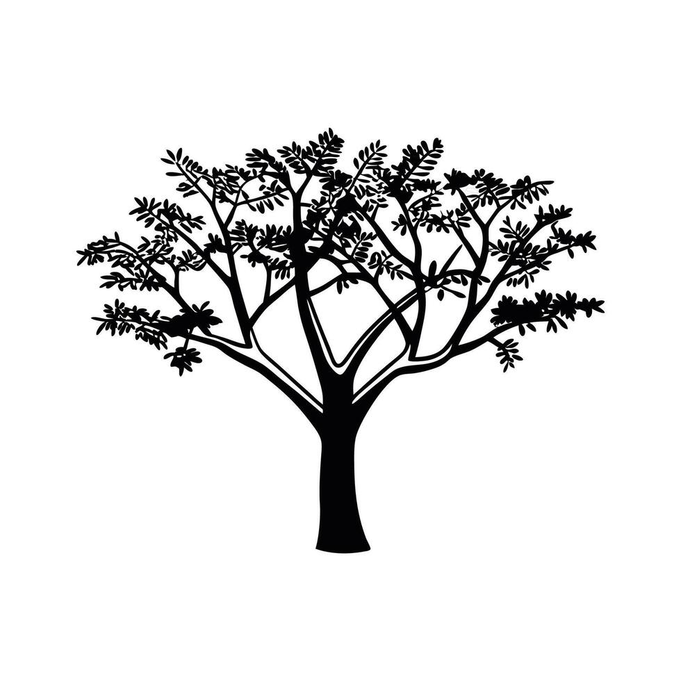 Texas Mesquite Tree Artistic Design vector