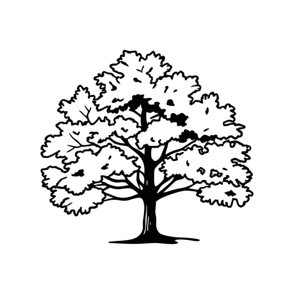 Stylized Artistic Texas Red Oak Tree vector