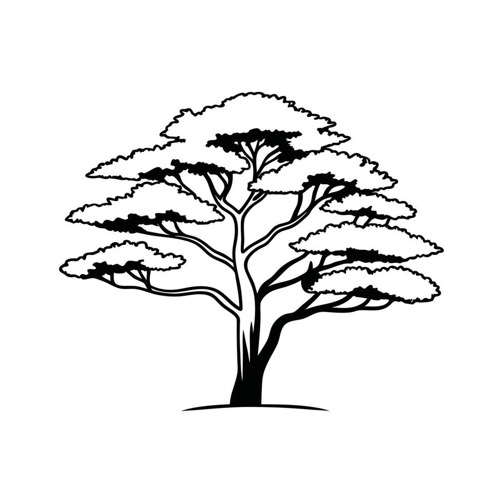 Elegant Vietnamese Golden Cypress Tree vector