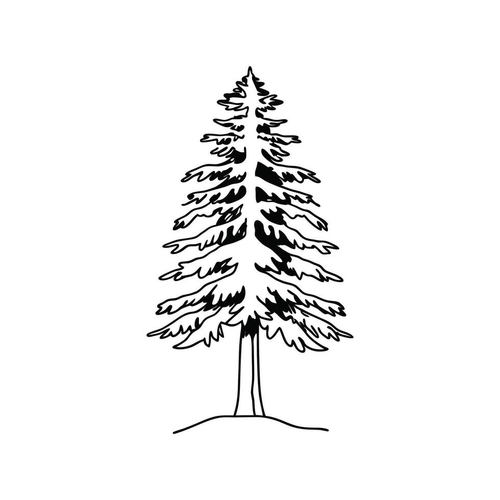 Charming Western Hemlock Tree Artwork vector