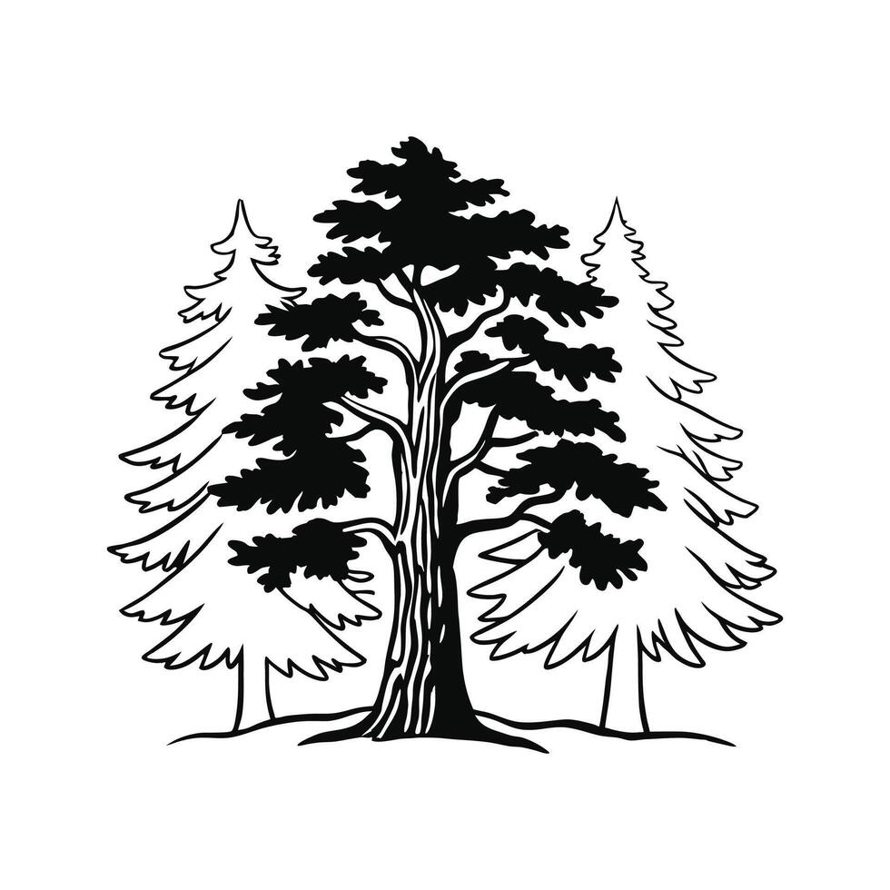 Western Hemlock Tree Artistic Design vector