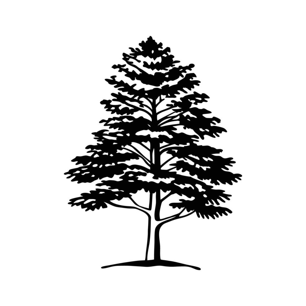 Vibrant Western Hemlock Tree Illustration vector