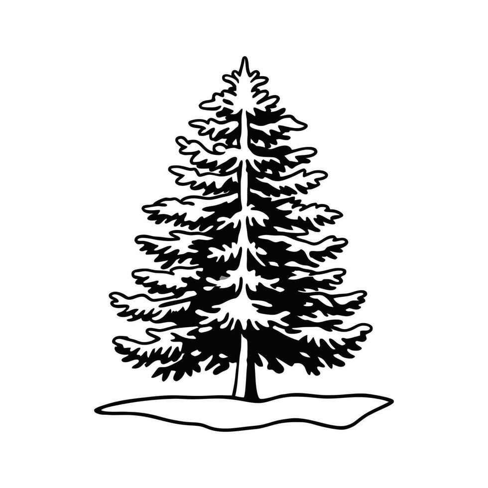 Artistic Western White Pine Tree Design vector