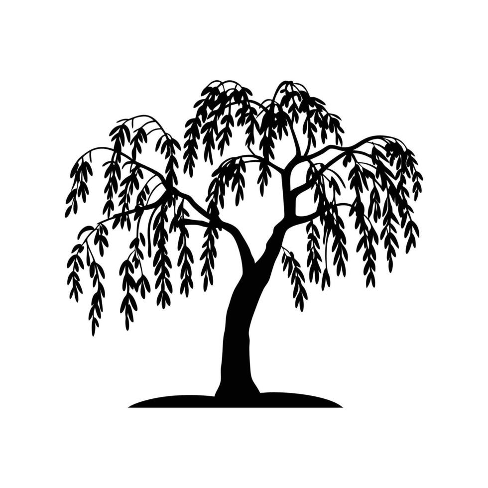 Stylized Willow Tree Illustration vector
