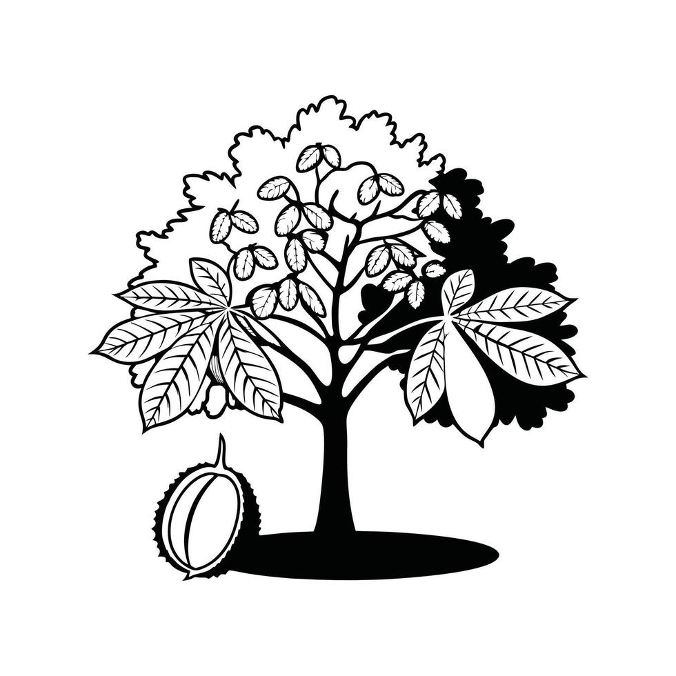 Red Buckeye Tree Artistic Design vector