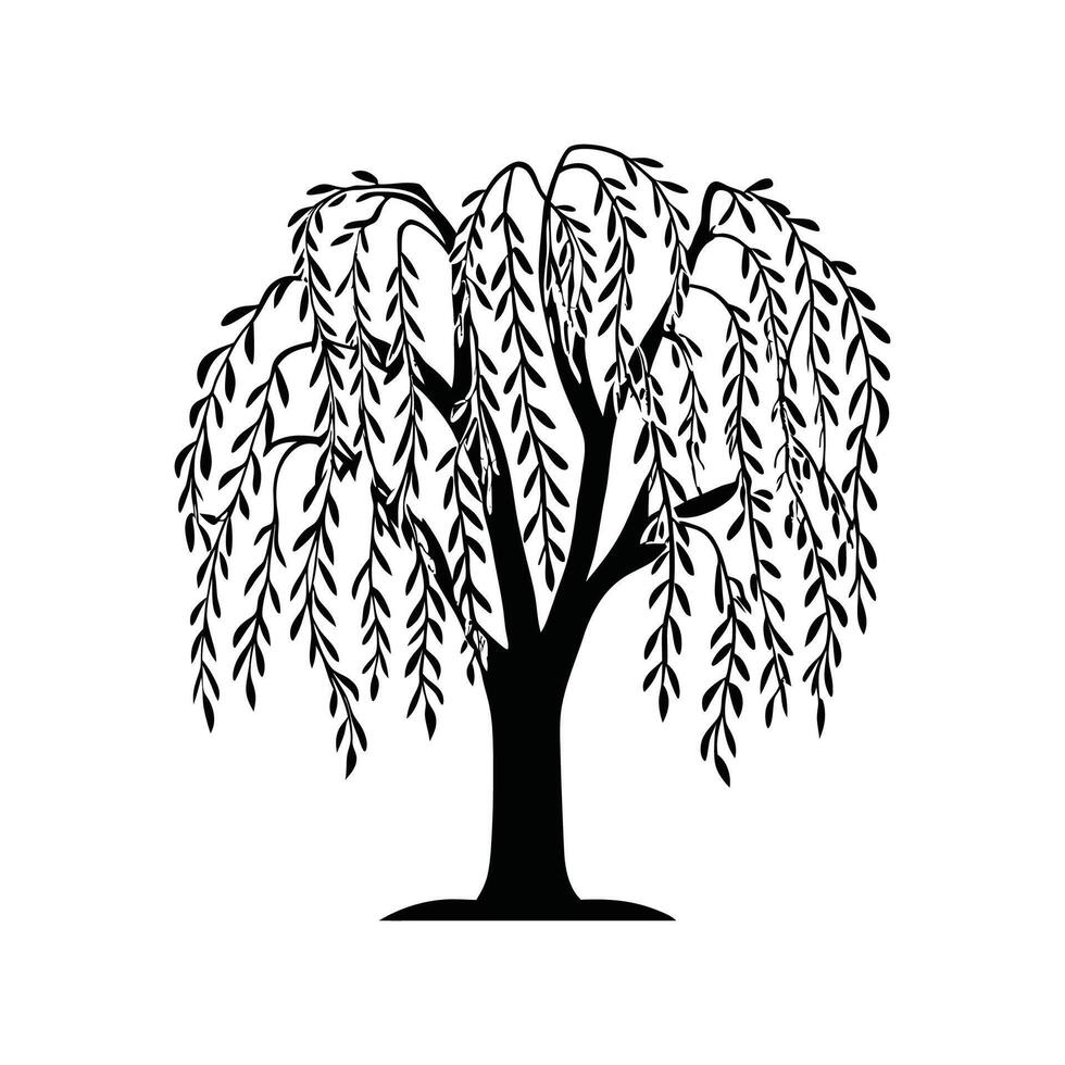 Graceful Willow Tree Artwork vector