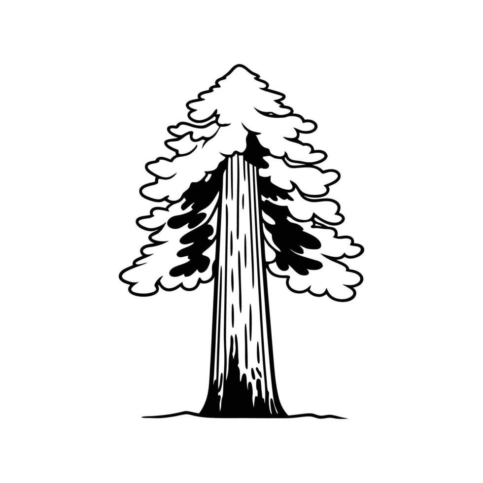 Redwood Tree Artistic Design vector