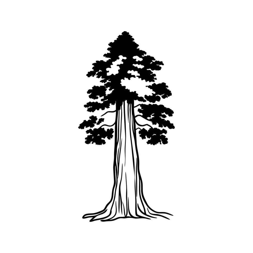 Charming Sequoia Tree Design vector