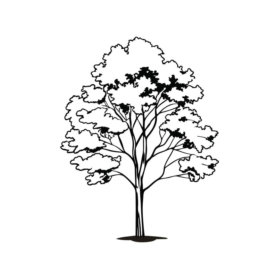 Vivid Silver Maple Tree Design vector