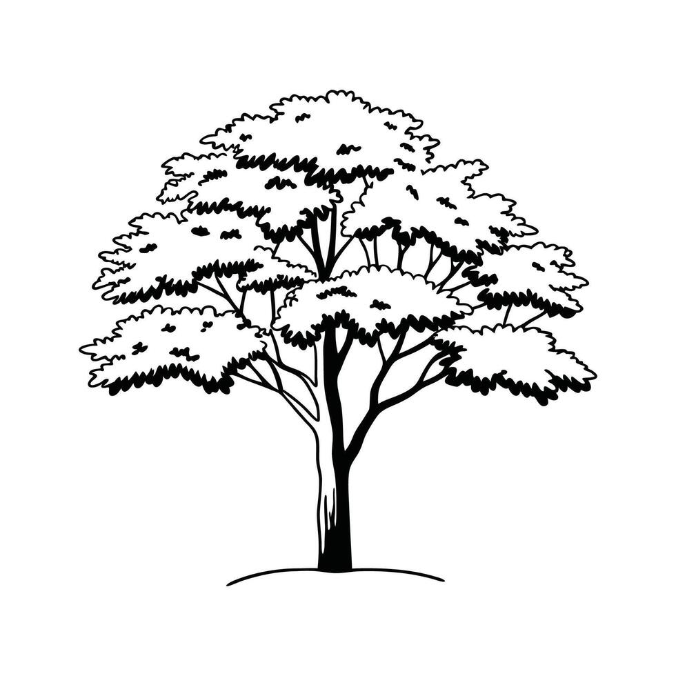 Sugar Maple Tree Artistic Design vector