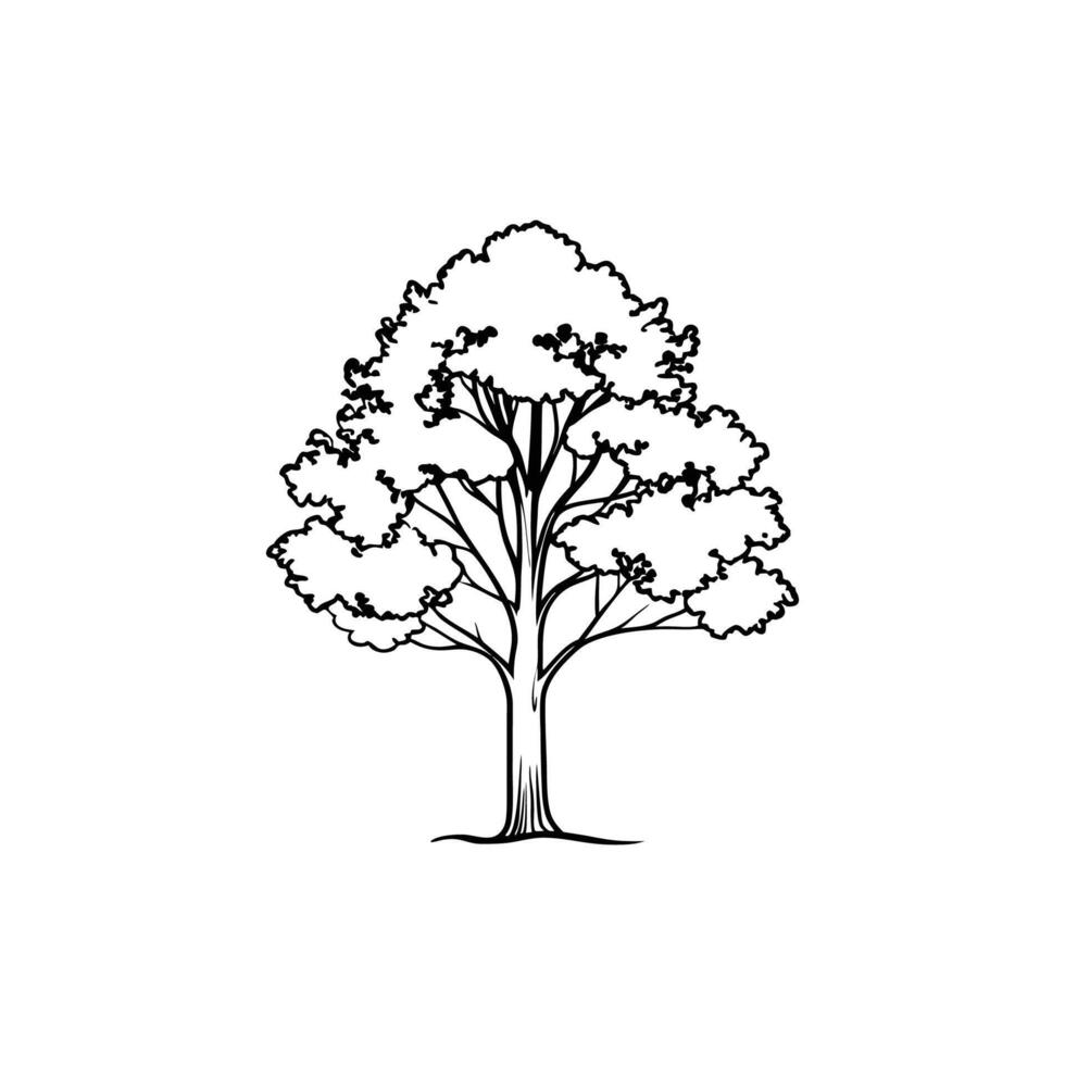 Sugar Maple Tree Design vector