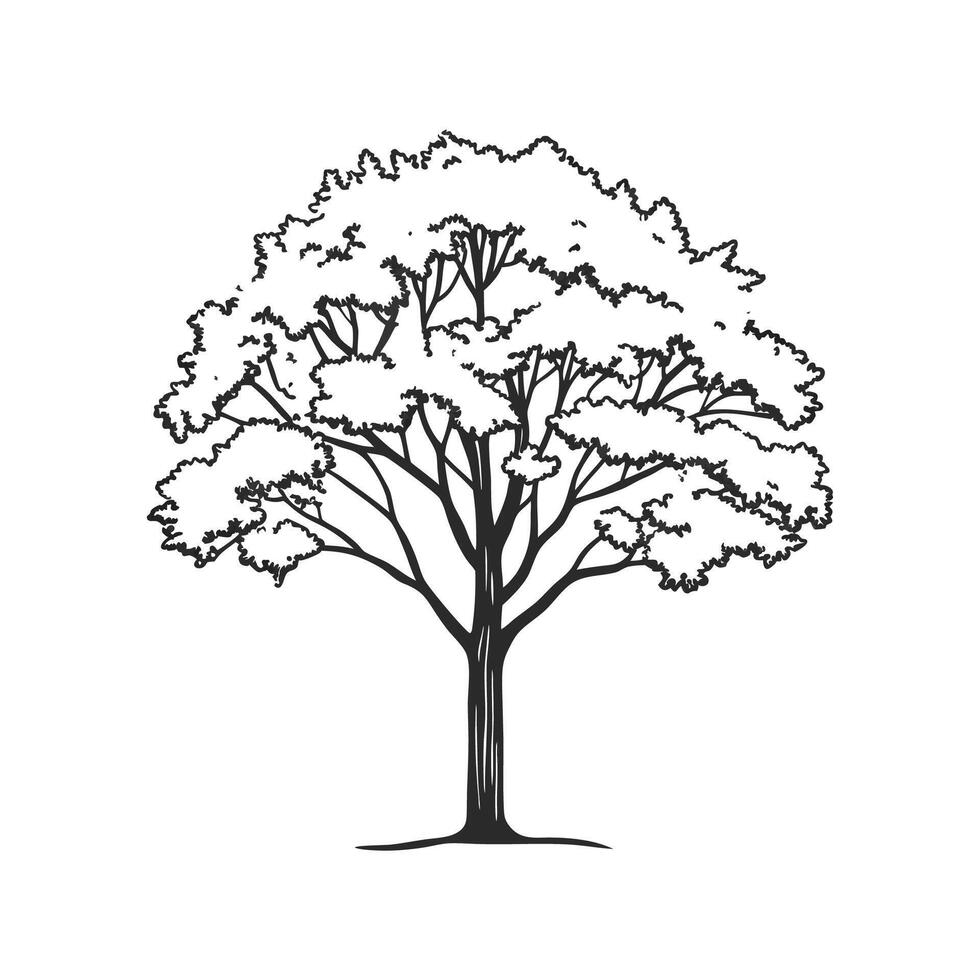 Artistic Sugar Maple Tree Design vector