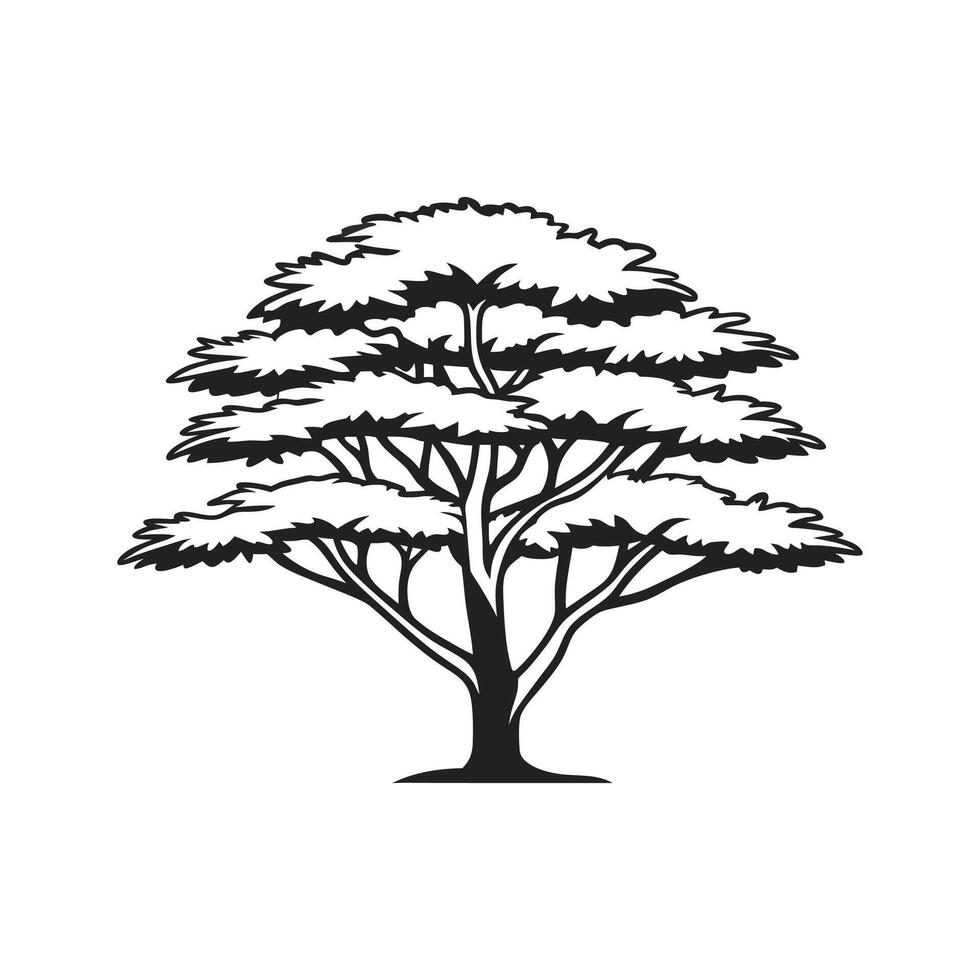 Charming Texas Mountain Laurel Tree vector