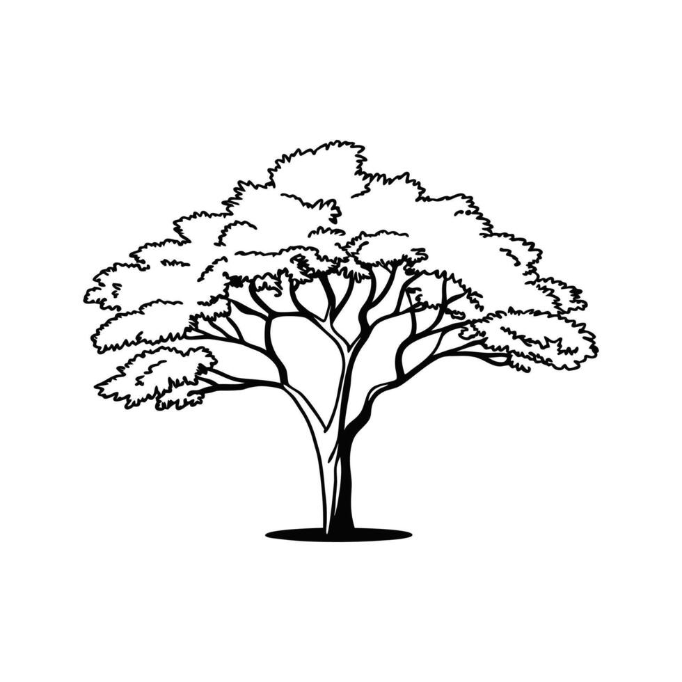 Texas Persimmon Tree Design vector
