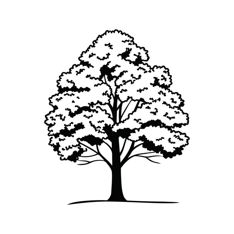 Stylized Tulip Poplar Tree Artwork vector