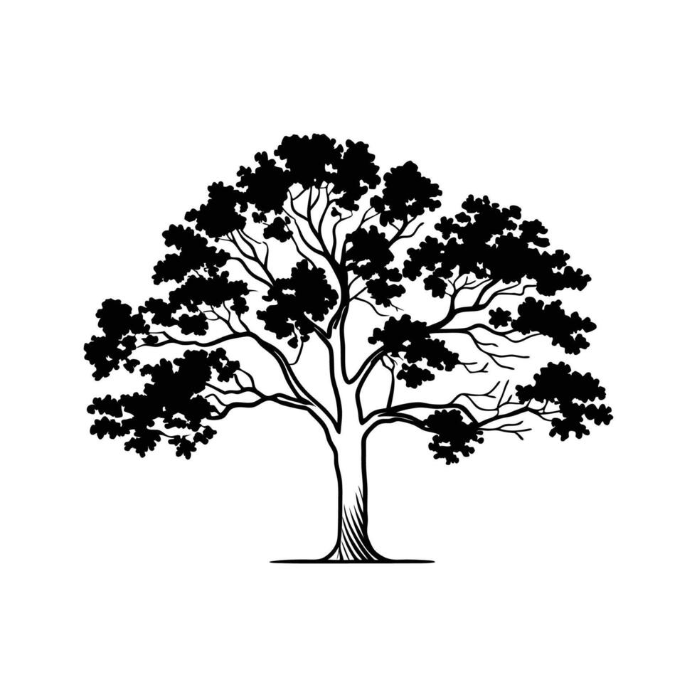 Charming Texas Red Oak Tree Illustration. vector
