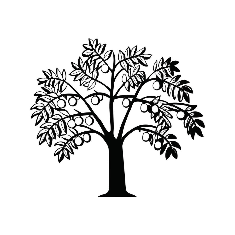 Charming Walnut Tree Illustration. vector