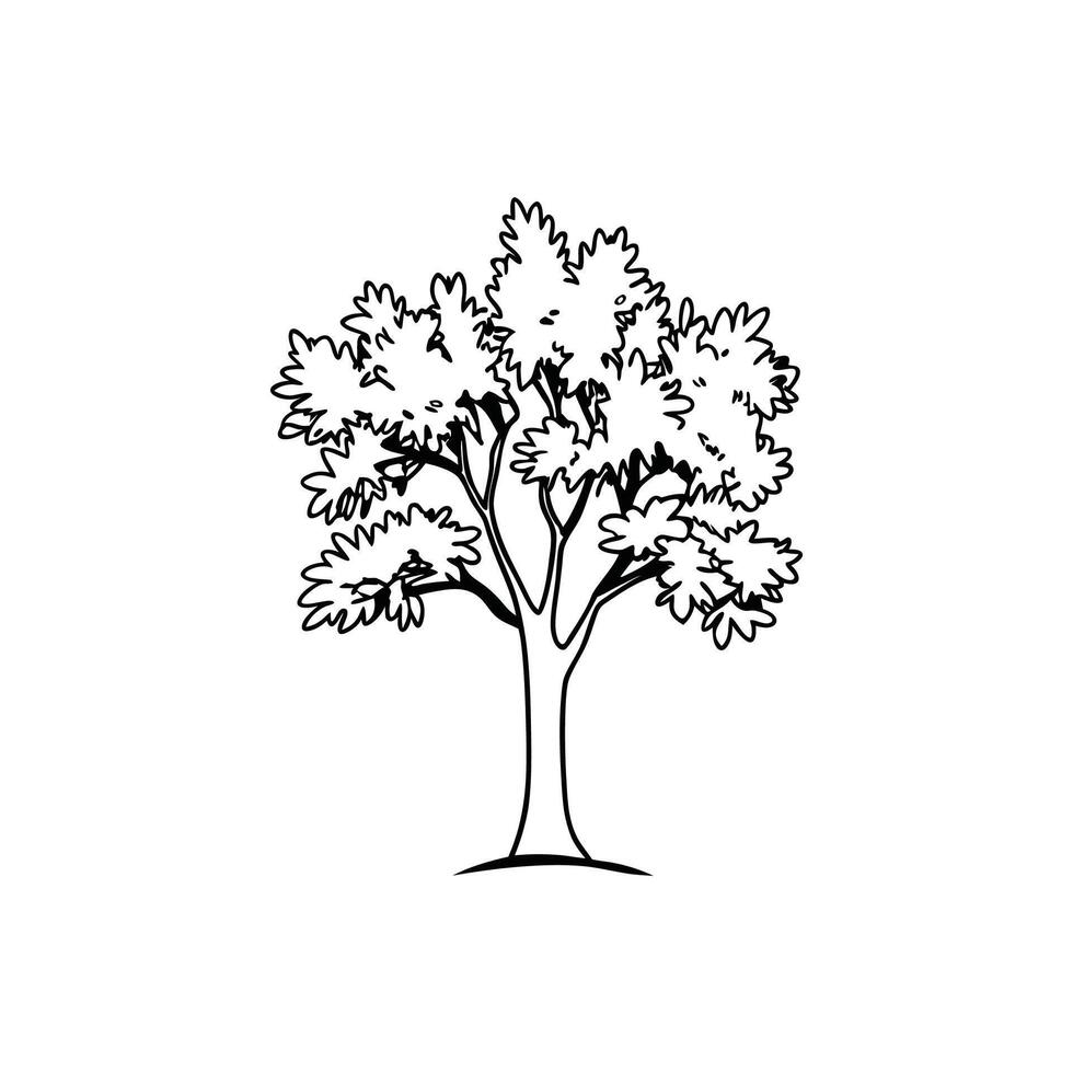 Stylized Walnut Tree Artwork. vector