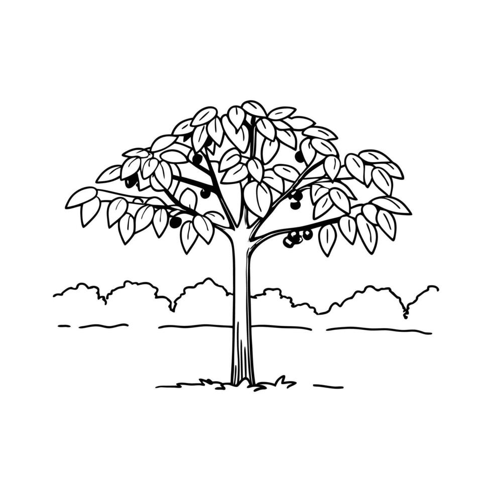 Artistic Walnut Tree Design vector