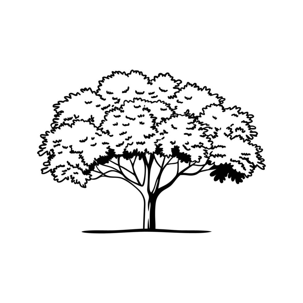Elegant Walnut Tree Design vector