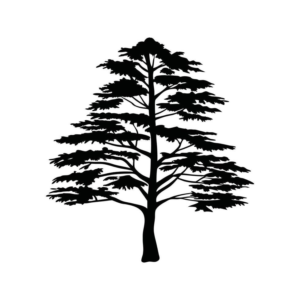 Charming Western Red Cedar Tree Illustration vector