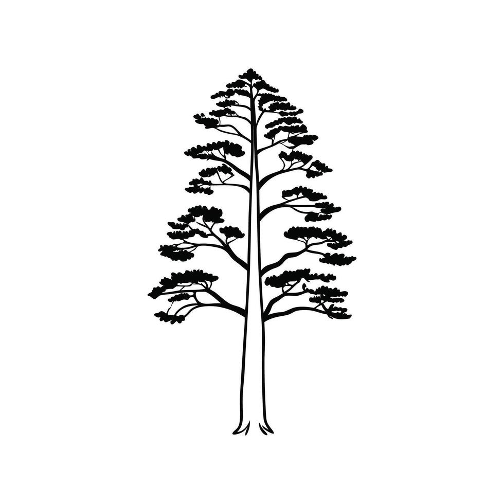 Stylized Western Red Cedar Tree Artwork vector