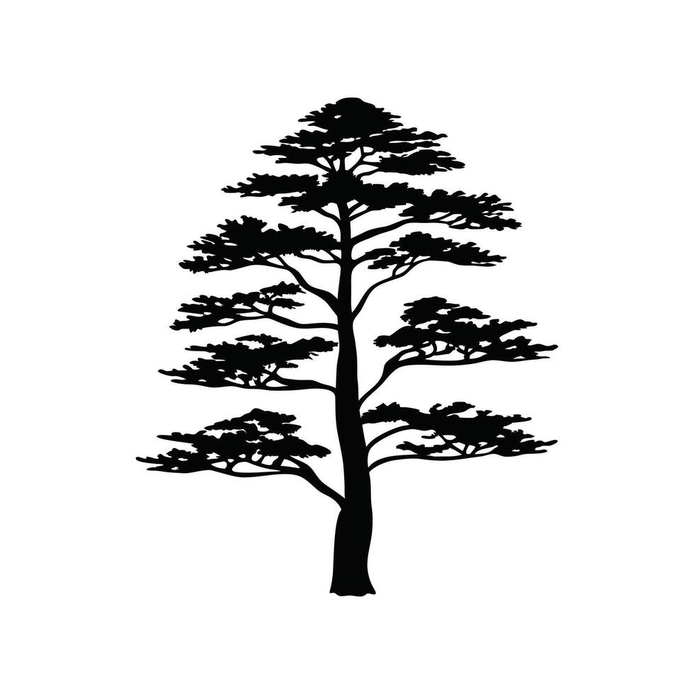 Vivid Western Red Cedar Tree Design vector