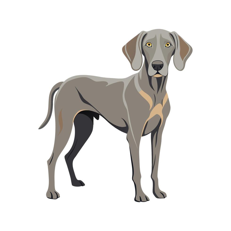 Stylized Weimaraner Art for Dog Lovers vector