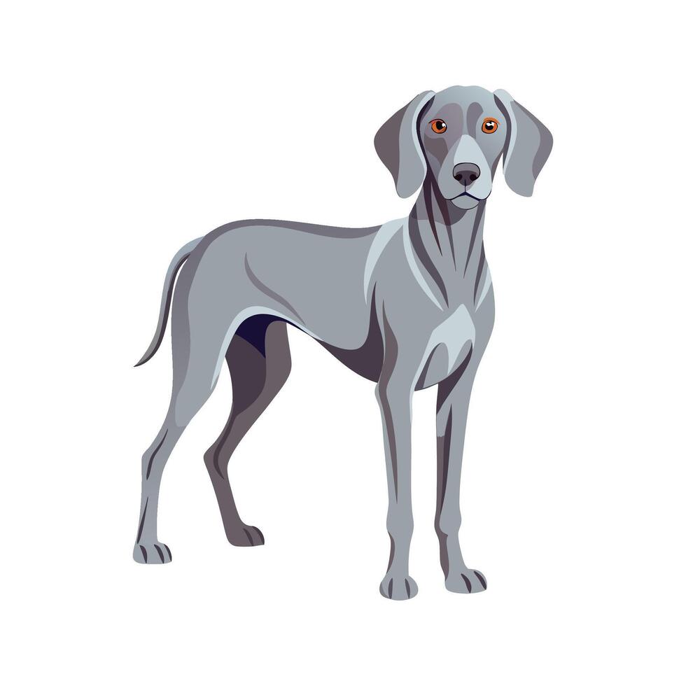 Charming Weimaraner Illustration for Dog Lovers vector