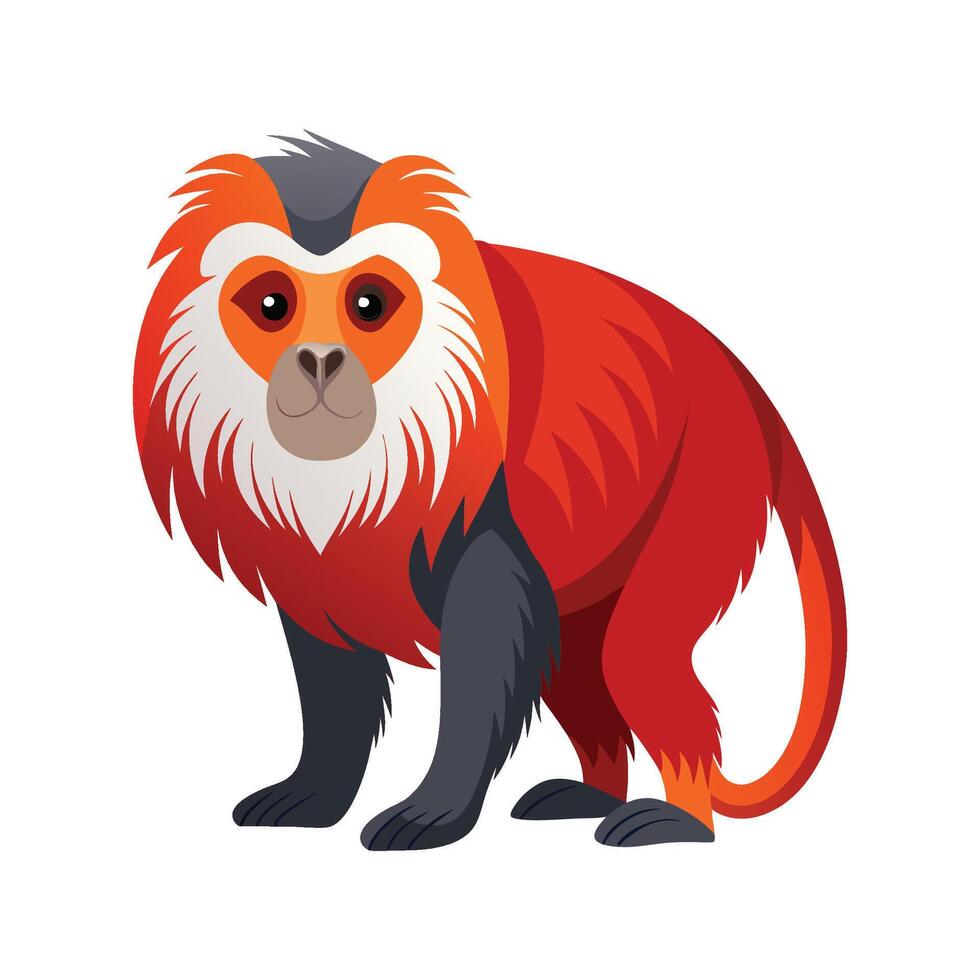 Creative Western Red Colobus for Wildlife Projects vector