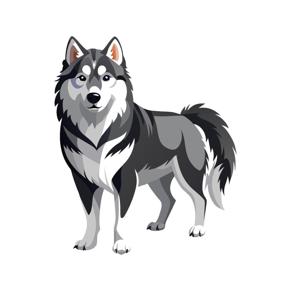 Creative Alaskan Malamute Design for Art vector