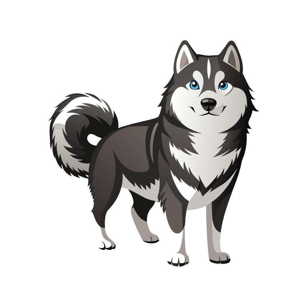 Unique Alaskan Malamute Illustration vector