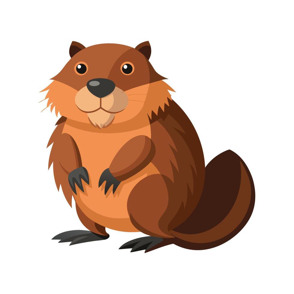 Distinct American Beaver for Art vector
