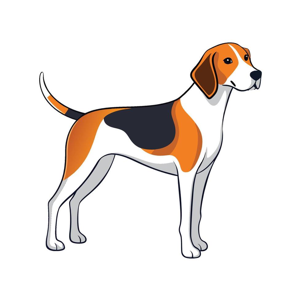 Unique American Foxhound Illustration vector