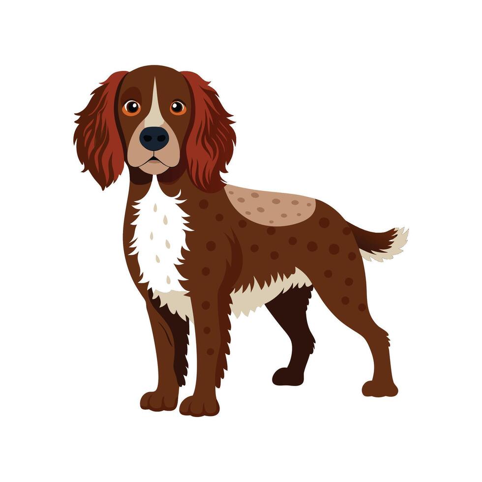 Charming American Water Spaniel Art vector